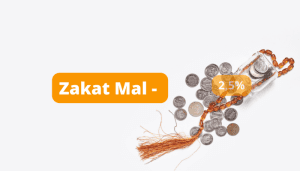 apa itu zakat mal