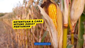 zakat pertanian
