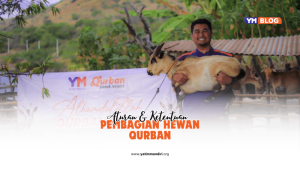 pembagian hewan qurban