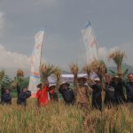 Yatim Mandiri Sebagai LAZ dan Nadzir Wakaf Sah