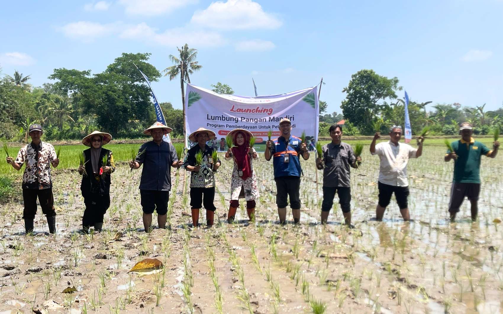 Lumbung pangan Yatim Mandiri Lumajang