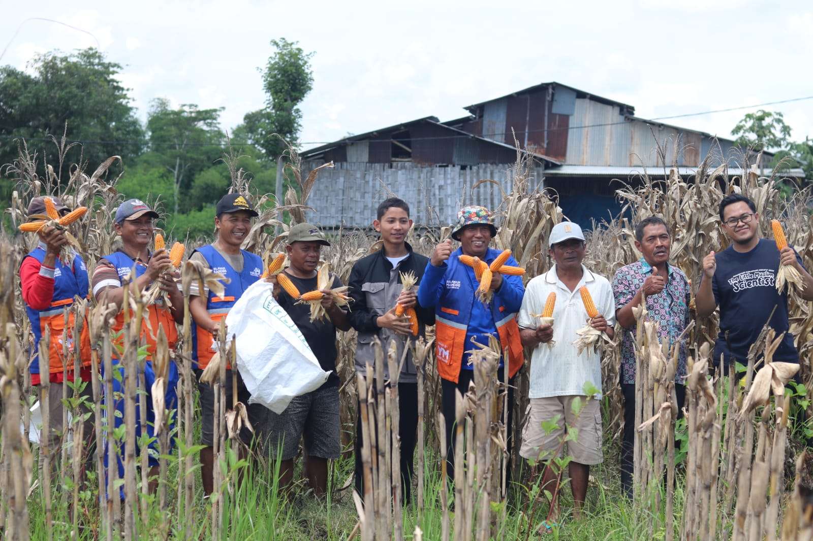 Panen Raya Jagung Program Pemberdayaan Petani di Kediri 