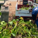 Yatim Mandiri Mojokerto Kembangkan Inovasi Rumah Eceng Gondok untuk Pemberdayaan Masyarakat Desa Tempuran