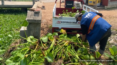 Yatim Mandiri Mojokerto Kembangkan Inovasi Rumah Eceng Gondok untuk Pemberdayaan Masyarakat Desa Tempuran