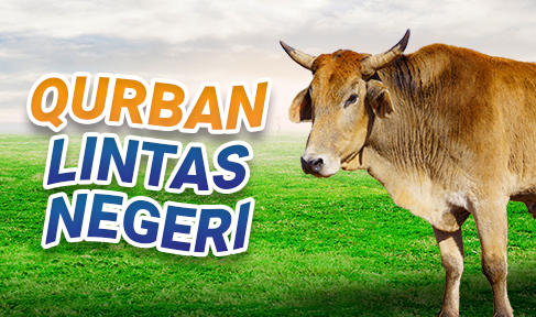 Qurban Sapi Afrika 1/7 Kolektif